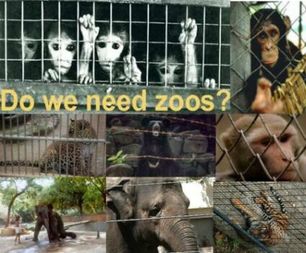Statistics about Zoos - Animals in Zoos?